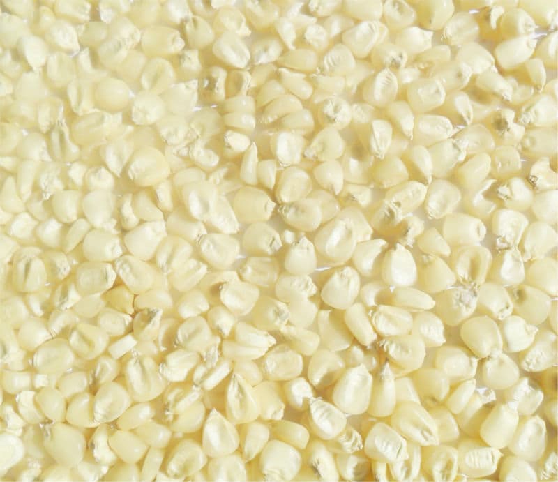 White and Yellow Non_GMO maize for sale Grade A produce